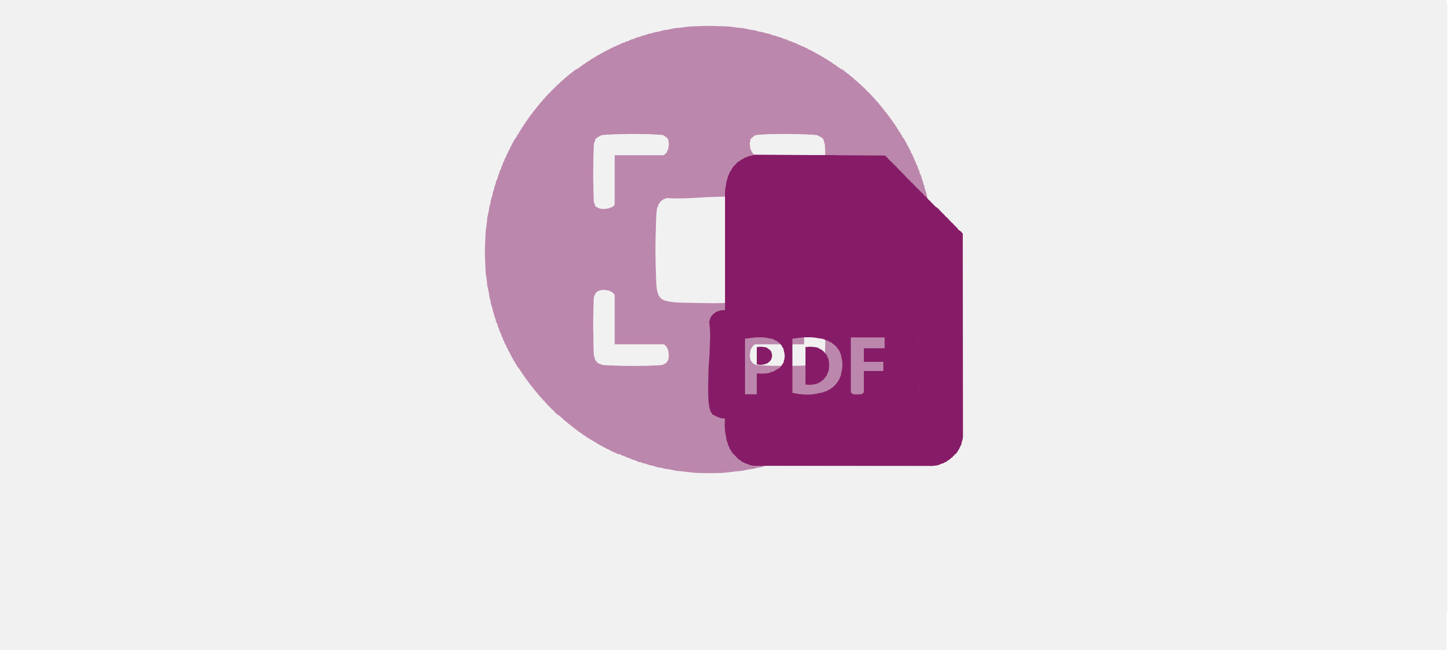Formato de Denuncia